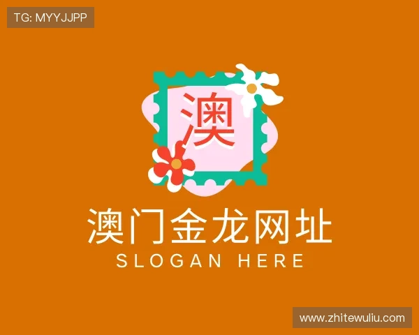 解读澳门金龙网址